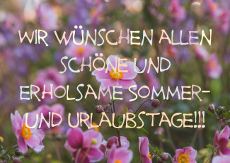 Blumenwiese