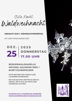 Weihnachtsschmuck bei Nacht